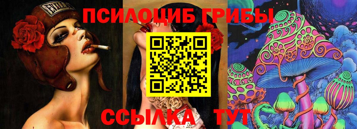 Галлюциногенные грибы Psilocybe Родники