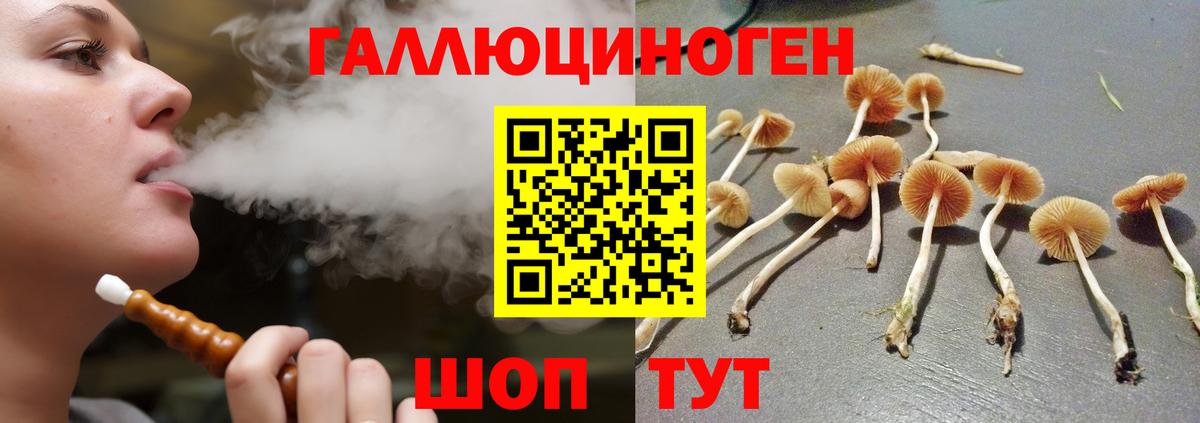Галлюциногенные грибы Cubensis  Вход с VPN  Родники 